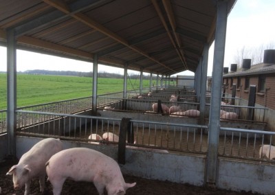 Open dag bij fam. Rijneveld-Kok te Montfoort