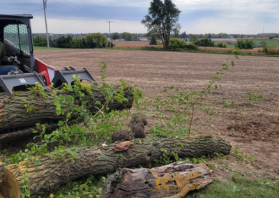 application_skid_steer_loaders_manitou_007